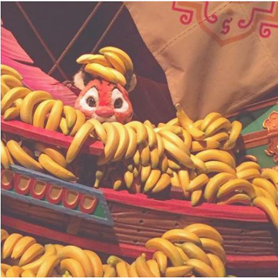 バナナのすきまから顔を出すチャンドゥ