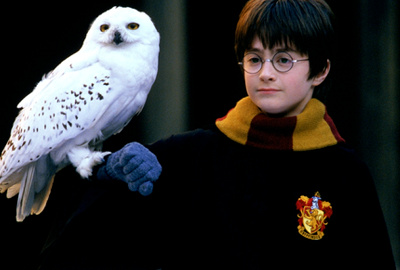 ハリーポッター