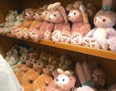 どの子をお迎えするかワクワクします♪