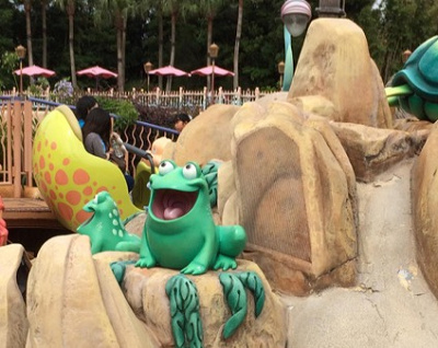 このカエルに注目です！