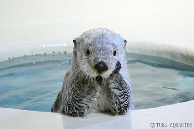 ポーズをとるメイ