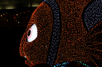 夜のディズニーランドに現れた光のニモ