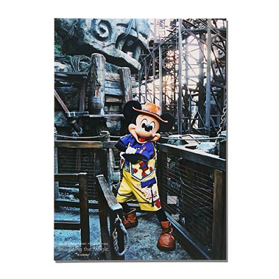 10/19発売】ディズニー40周年を記念したイマジニング・ザ・マジック