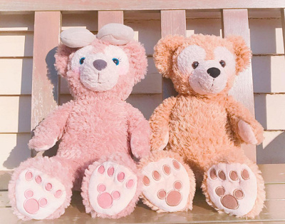 ディズニー サプライズプレゼント 体験談】誕生日サプライズ！ディズニーで素敵な思い出を友達や彼氏彼女