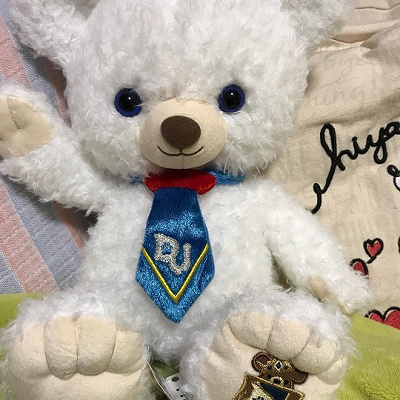 ユニベアシティとは？ディズニーストアジャパン発の人気キャラ！種類や