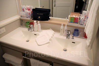 2台の洗面ボウル