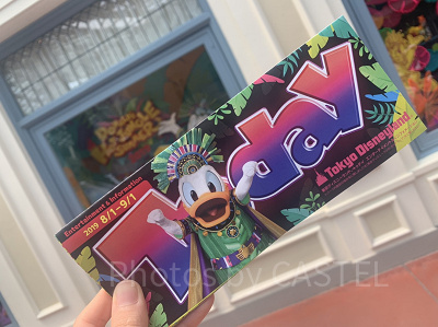 2020】ディズニーToday（トゥデイ）まとめ！ディズニーランド＆シーで