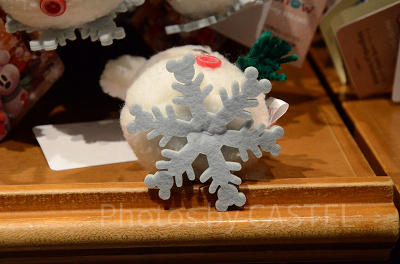 下は雪の結晶