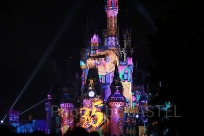 セレブレイト東京ディズニーランド