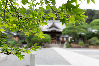 SIGMA 18-35mm F1.8 DC HSM　作例