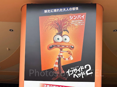 シンパイ