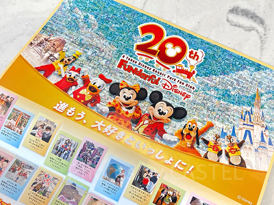 ファンダフル・ディズニーのパンフレット