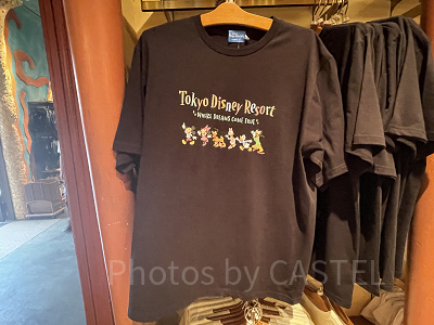 Tシャツ（ディズニーシー）