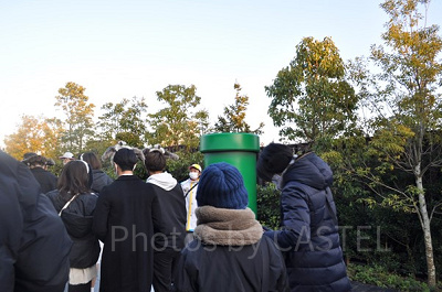 マリオのゲームでおなじみの大きな土管