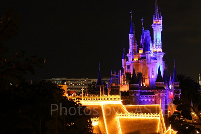 シンデレラ城が一望できるスポット