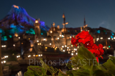 事前リサーチが大切