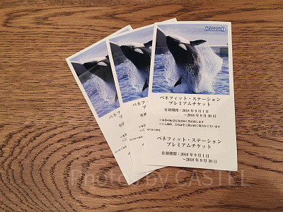 鴨川シーワールドの前売り入園券
