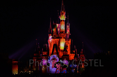 アラジンとジャスミン