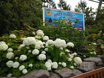 アミティエリア