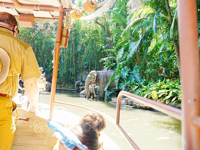 カリフォルニアアナハイムディズニー：ジャングルクルーズ