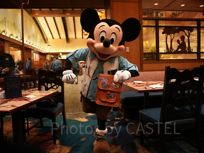 カリフォルニアアナハイムディズニー：春の気候・天気