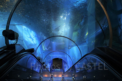 アクアチューブ