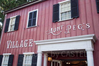 アーント・べグズ・ヴィレッジストア