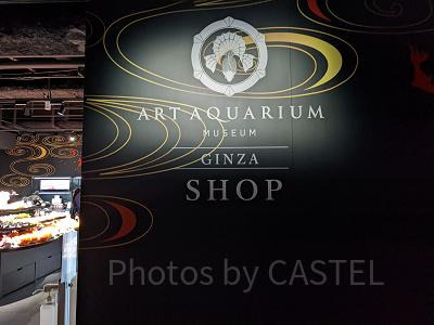 アートアクアリウム銀座　ショップ