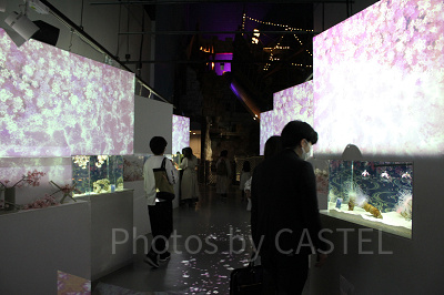 アトリウムエリア「カラーズ」