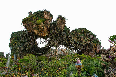 アバターエリア