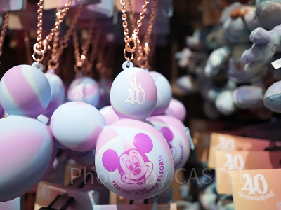 バッグチャーム（ディズニー40周年グッズ）