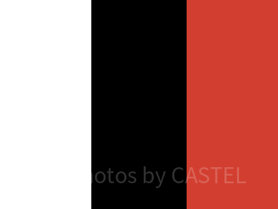 ベイマックスコーデのカラー