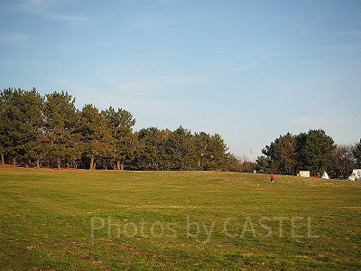 バーベキュー広場