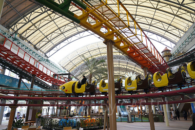 ミツバチコースター