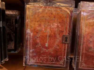 2つ折りクリアファイルセット