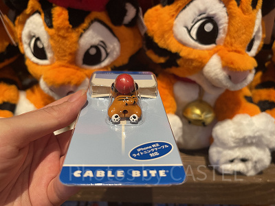 ケーブルバイト　チャンドゥ