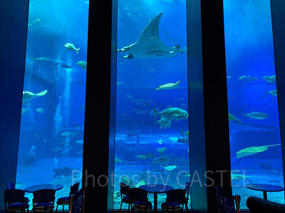 美ら海水族館のカフェ「オーシャンブルー」