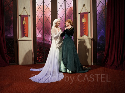 カリフォルニア・アナハイムディズニー：アナとエルサ