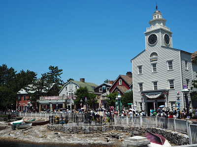 ケープコッドの様子