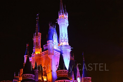 シンデレラ城③