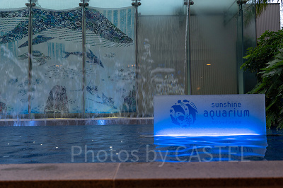 サンシャイン水族館の混雑まとめ