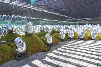 呼応する小宇宙の苔庭 - 固形化された光の色, Sunrise and Sunset