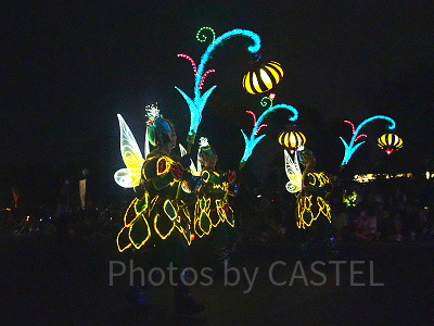 ディズニー・フェアリーズの後ろのダンサー