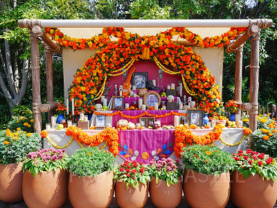 ラソス・デ・ラ・ファミリアのデコレーション