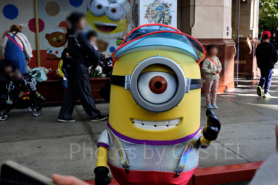 USJに登場しているミニオン