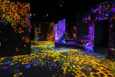 チームラボお台場と豊洲の作品数の違い