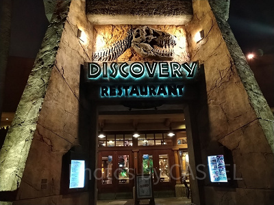 ディスカバリーレストラン