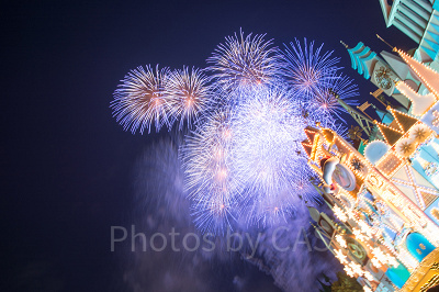 ディズニー・ライト・ザ・ナイト