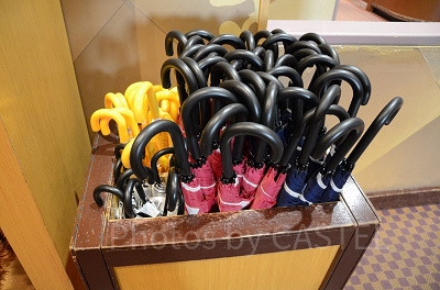 【雨の日のディズニー】長い傘のメリットとデメリット