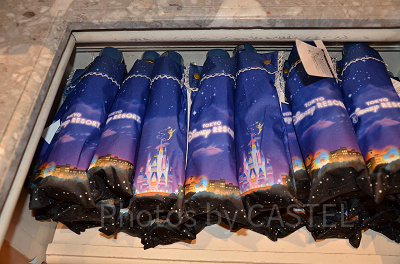 【雨の日のディズニー】折り畳み傘のメリットとデメリット